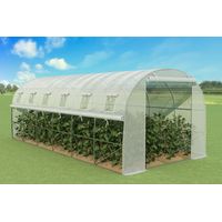 Hobag – Serre tunnel 18 m² en acier galvanisé traité anti-corrosion – Dimensions 6 x 3 x 2 m – Film anti-UV pour récoltes hors saison