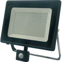 Außenstrahler duralamp e013eis 100W 8500 Lumen