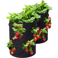 Erdbeer-Pflanzsäcke, 2 Stück 43 l/10 Gallonen Gemüsesäcke, Pflanzsack aus Vliesstoff mit Sichtfenster, Garten-Gemüsesack (schwarz)