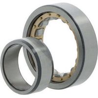 Cuscinetto a rulli cilindrici EMA6 NU2320. 100mm ext. 215 mm largo 73mm NKE