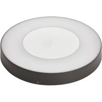 Lucande Lámparas de techo LED 'Sora' en Gris Aluminio