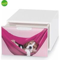 Box deco Domoliving qbox mini pets bianco 10,5 x 15,5 x 20 cm