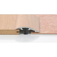 Seuil Invisifix Aluincol Fixation Invisible, Aluminium Incolore, 38mm - Romus