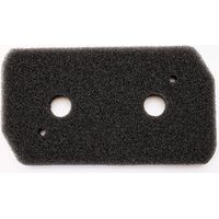 Filtro spugna - Asciugatrice - BOSCH - 3281998001108795487