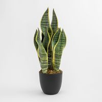 SKLUM Dekorative Kunstpflanze Sansevieria 40 cm 40 cm