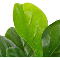 vidaXL Pianta Artificiale di Ficus Lyrata con Vaso Verde 90 cm