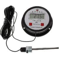 High Temperature Industrial Digital Thermometer With 10m Probe-Crezuo