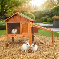 Mucola – Clapier en bois pour lapins et petits animaux – Enclos extérieur 100 x 145 x 65 cm – Tiroir amovible pour nettoyage facile – Résistant aux intempéries