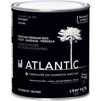 Peinture bois extérieurs - RAL 9005 Noir Brest - 750ML - ATLANTIC