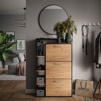 Meuble à chaussure Orlando, Chêne de force doré, 80x128.3cm avec 3 compartiments, Vicco