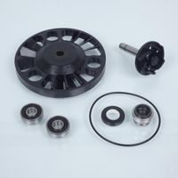 Pompe à eau Buzzetti pour Scooter Aprilia 125 Scarabeo 4T 2002 à