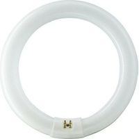Philips 840551 Circular G10q 32W 865 MASTER TL-E Super 80 Bulb