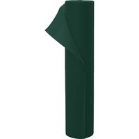Fleece de protection des plantes contre le gel Vert 50 x 1,6 m CFW20547
