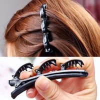 Pince à cheveux double pour femmes et filles - Accessoires capillaires tendance