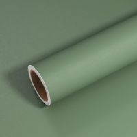 Apex – Papier peint autocollant vert sauge vintage – Lavable – 40 cm x 300 cm – Vinyle écologique et imperméable pour meubles et murs