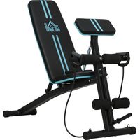 Banco de Musculación Plegable con Respaldo Regulable Extensión de Pierna Cojín de Predicador Banda 160x54x106 cm Negro