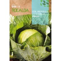 Rokalba Semilla Coli Cabbue Brunnswick 500G