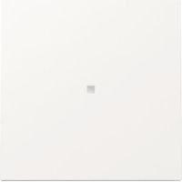 Interrupteur Gira 329070 contrôle finition brillante moderne