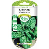 Semi di spinaci giganti d'inverno BIO Le Dita Verdi