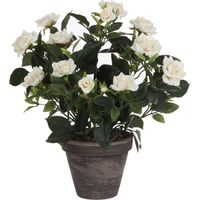 Rosier Blanc Pvc avec Pot Couleur 11.5cm. 33x25cm – 33x25cm • Blanc – Gris