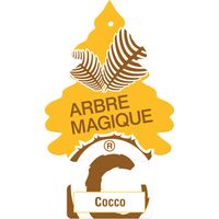 Désodorisants Pour Voiture, Parfum Fruits, Modèles Assortis, 24 Unités
