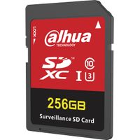 SD-H100-256GB - Carte SD 256 Go