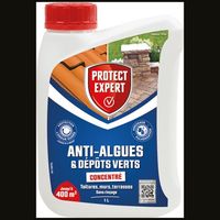 Anti-Algen und Grünablagerungen Konzentrat 1 l - Protect Expert