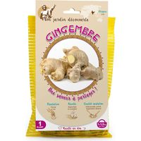 1 Plant de Gingembre à planter