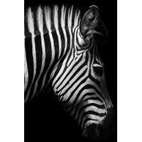 Toile zèbre noir blanc 66x95cm