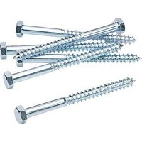 LENNIE Zugboden - Weiß verzinkt - Ø8x120 - Packung mit 50 Stück - TIR0812002B
