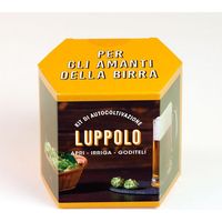 KIT AUTOCOLTIVAZIONE LUPPOLO