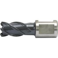 Kernbohrer HSS-Co RQX 36/30mm Alfra, AlTiN