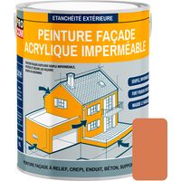 Procom – Peinture façade acrylique étanche 2.5L – Protection jusqu'à 10 ans – Aspect mat – Pour façades à relief et crépi