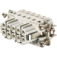 Weidmüller HDC HA 10 FS (1650620000)