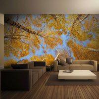 Papier peint arbres d'automne - 400 x 309 cm
