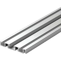 Rail bas 65 pour profil P300 anodisé agent 2,55m - SEED GAMMISTE - RB65SA25