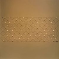 Filet lumineux 2M h1M 120 LED blanc chaud prolongeable 31V câble vert IP44 SMART Connect Lotti