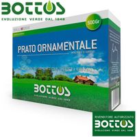 Pelouse, Ornement - Graines pour pelouse 500 g