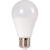 Ampoule LED E27 A60 - 6,5W - Blanc Chaud