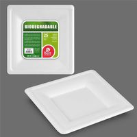 Assiette Carrée Biodégradable écologique & Pratique - Best Products