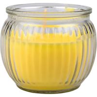 Edco Kerze Citronella im Glas