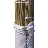 Bala tutor Bambú - 500 unidades Alt: 60cm / Diam: 6-8mm -