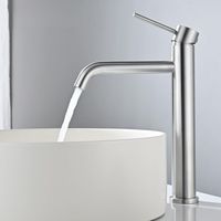 Rubinetto per lavabo alto in classico acciaio inox spazzolato per lavabi e lavelli