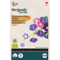 Buzzy Organic Ipomee Variée- Bio Semences - Ca. 1 gr (Livraison