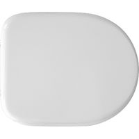 SEDILE WC PER RAK VASO COMPACT FORMA 6- Verde Bertocci- CW- pezzi 1