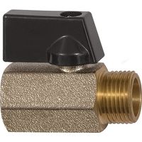 Mini robinet à tournant sphérique VALVE LINE 6mm 1/4 IT/AG DN 8mm RIEGLER (Par 10)
