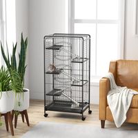 Cage pour Petits Animaux Roulante 5 Rampes 5 Plates-formes Plat et Bouteille d'Eau 250 ml Bac Inférieur Amovible