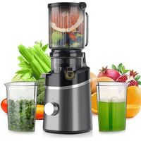 Extracteur de Jus de Fruits et Légumes Vertical, 120mm Machine à Jus avec 2 Tasses et Brosse, 800W et Capacité de 1.5 L