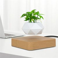 (Socle en noyer, prise américaine) Pot à bonsaï à suspension magnétique, pot de fleurs rotatif, jardinière à suspension magnétique, décoration pour la maison ou le bureau