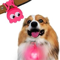 Pendentifs pour colliers de chien